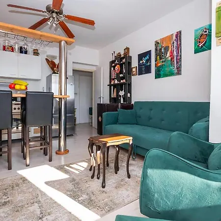 Apartman Pet Friendly In With Wifi