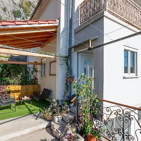 Apartman Pet Friendly In With Wifi
